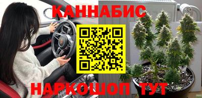 ПСИЛОЦИБИНОВЫЕ ГРИБЫ Краснодар