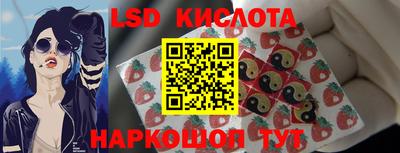 ПСИЛОЦИБИНОВЫЕ ГРИБЫ Краснодар
