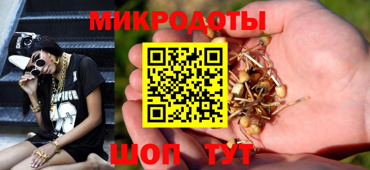 Галлюциногенные грибы мицелий Холмск